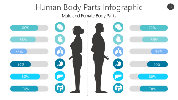 Human Body Parts Infographic