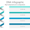 DNA Infographic