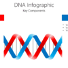 DNA Infographic