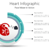 Heart Infographic