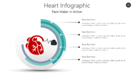 Heart Infographic