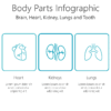 Health Medical Infographic 73 Body Parts Infographic-pptinfographics