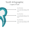 Tooth Infographic Powerpoint Template 1 Tooth Infographic