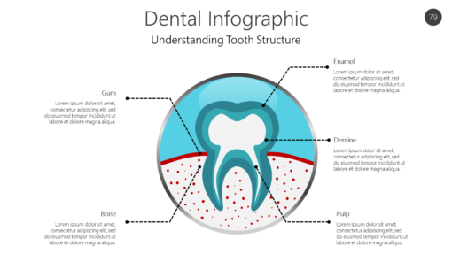 Dental Infographic