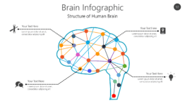 Brain Infographic