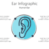 Ear Infographic