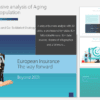 European Insurance | The way forward 2 European Insurance