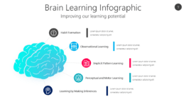 Brain Learning Infographic