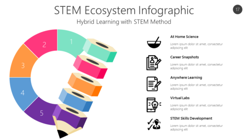 STEM17 STEM Ecosystem Infographic-pptinfographics