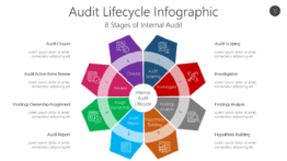Audit Lifecycle Infographic