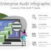 Enterprise Audit Infographic