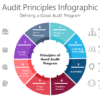 Audit Principles Infographic