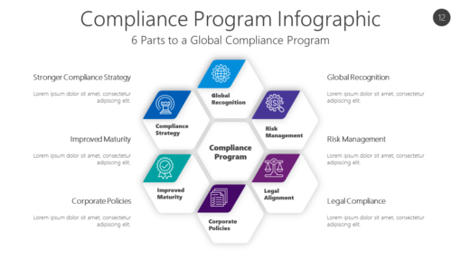 COMP12 Compliance Program Infographic-pptinfographics