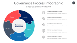 Governance Process Infographic