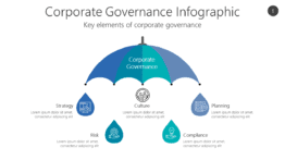Corporate Governance Infographic
