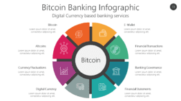 Bitcoin Banking Infographic
