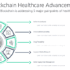 BCHC12 Blockchain Healthcare Advancement-pptinfographics