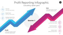Profit Reporting Infographic