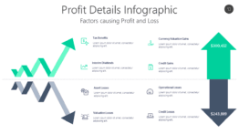 Profit Details Infographic