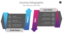 Income Infographic