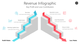 Revenue Infographic