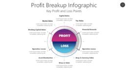 Profit Breakup Infographic