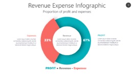 Revenue Expense Infographic