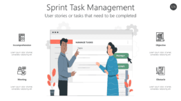 Sprint Task Management