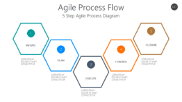 Agile Process Flow