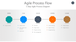 Agile Process Flow