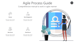 Agile Process Guide