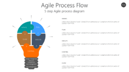 Agile Process Flow