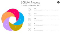 SCRUM Process