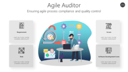 Agile Auditor