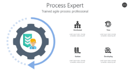 Process Expert