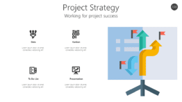 Project Strategy