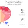 Program Strategy