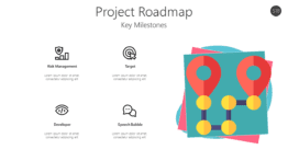 Project Roadmap