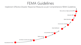 FEMA Guidelines