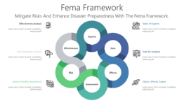 Fema Framework