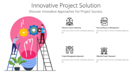 Innovative Project Solution