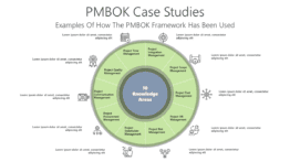 PMBOK Case Studies
