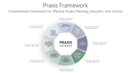 Praxis Framework