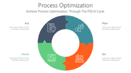 Process Optimization