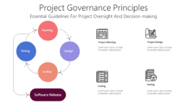 Project Governance Principles