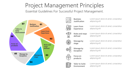 FW Project Management Principles-pptinfographics