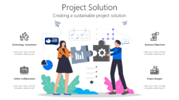 Project Solution
