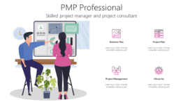 PMP Professional