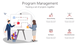 Program Management