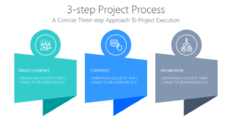 3-step Project Process